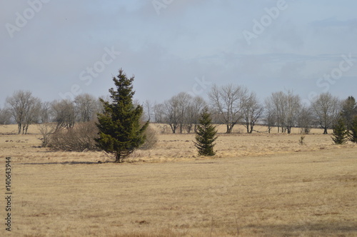 Moor und Heide Landschaft warten auf Frühling