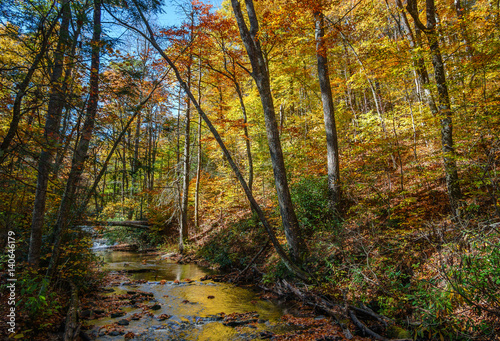 Autumn on Crabtree Creek Trail near the Blue Ridge Parkway and Crabtree Falls North Carolina