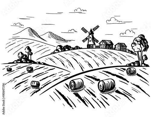 Rural landscape field wheat in graphical style. Hand drawn and converted to vector Illustration.