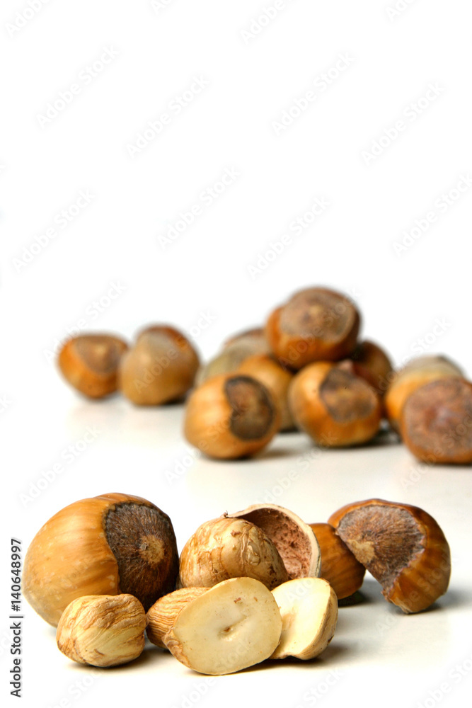 Studio shot of hazelnuts at white background Studio shot of hazelnuts at white background