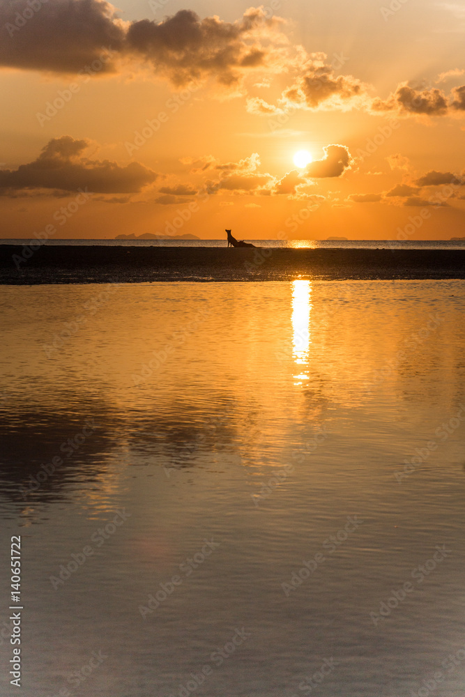Fototapeta premium Sunset with couple dog