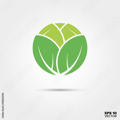 cabbage vegetable vector icon