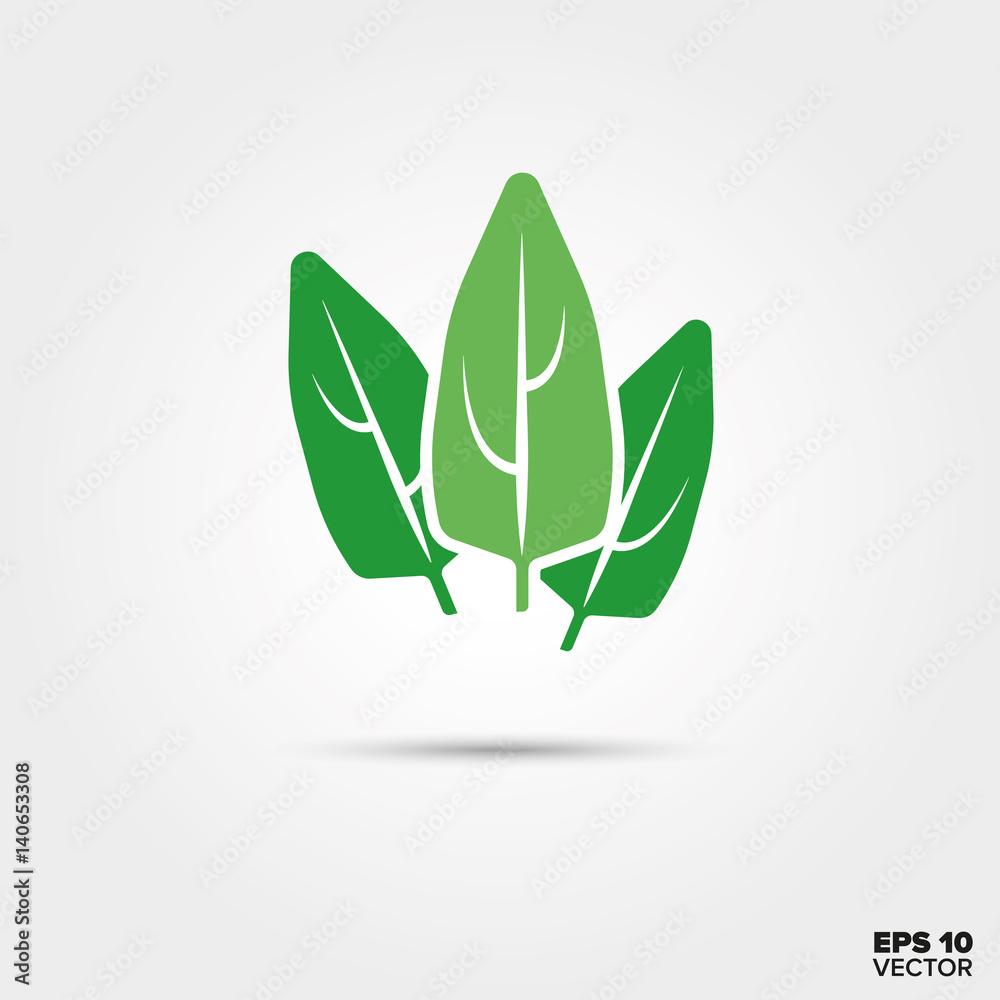 spinach leaves vegetable vector icon spinach leaves vegetable vector icon
