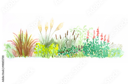 Fototapeta Naklejka Na Ścianę i Meble -  田舎道の草花たち