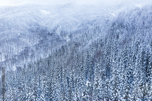 winter landscape at Zao mountain