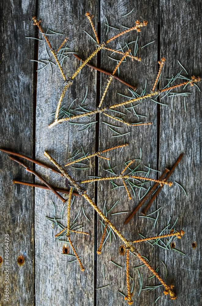 Fototapeta premium The branches of the fallen spruce