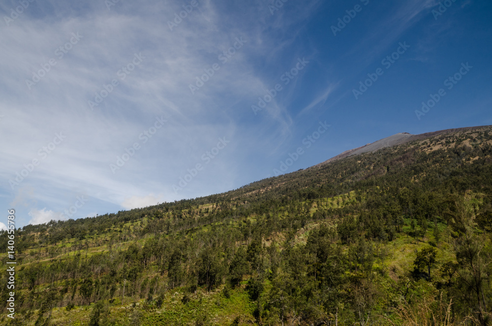 Summit of Mount. Rinjani, the mountain is in the Regency of North Lombok, West Nusa Tenggara and rises to 3,726 metres (12,224 ft), making it the second highest volcano in Indonesia. Summit of Mount. Rinjani, the mountain is in the Regency of North Lombok, West Nusa Tenggara and rises to 3,726 metres (12,224 ft), making it the second highest volcano in Indonesia.
