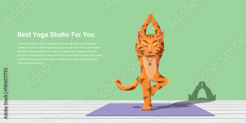 cat practice yoga