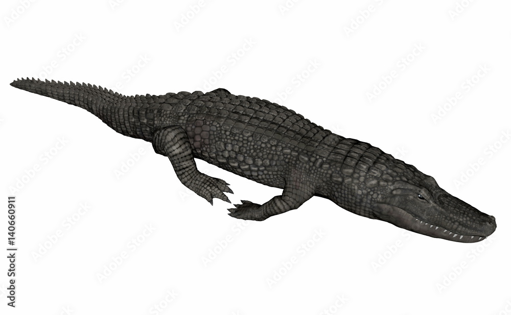 Naklejka premium Crocodile relaxing - 3D render
