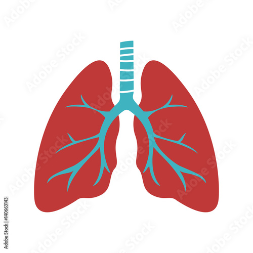 Human lungs icon.