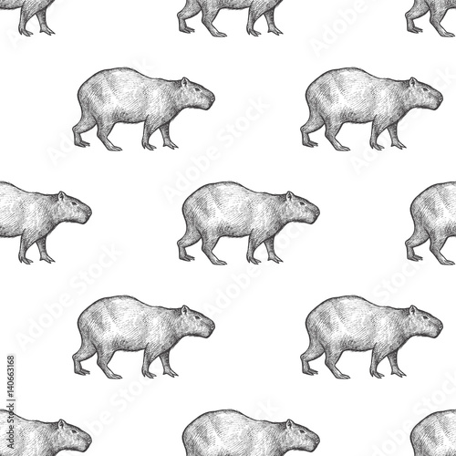 Seamless pattern with Capybara. © marinavorona