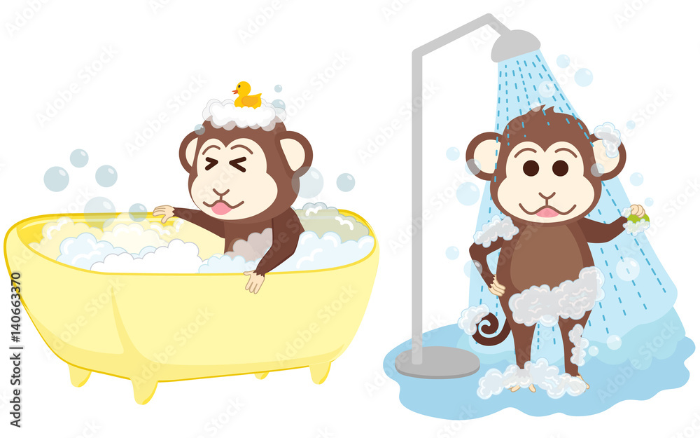 Naklejka premium Monkey shower and bathe at bathroom.