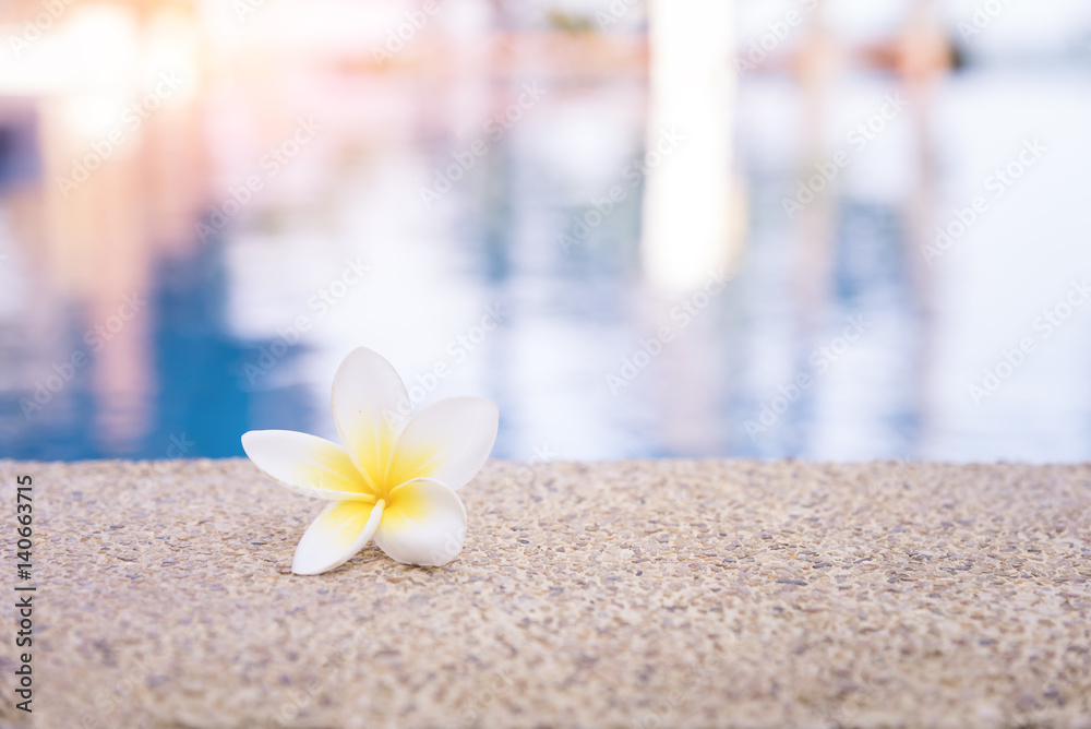 Spa Concept, Plumeria Flowers at the Pool Edge. Spa Concept, Plumeria Flowers at the Pool Edge.