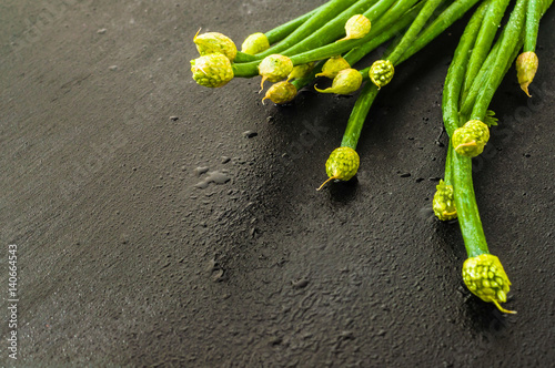 Fresh green heap of onion leaves on dark kitchen surface with water drops