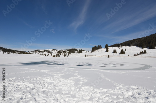 Alpe di Folgaria in inverno con alberi