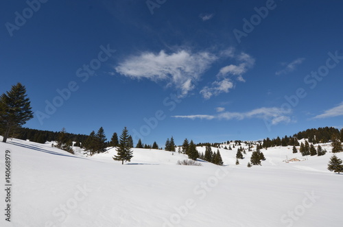 Alpe di Folgaria in inverno con alberi