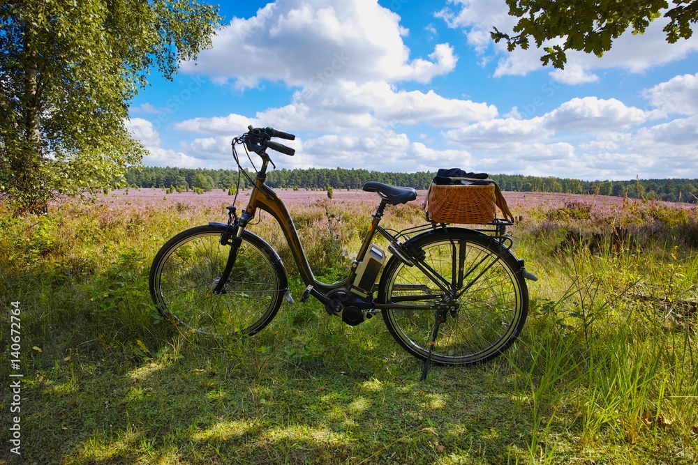 Naklejka premium Radfahren in der Lüneburger Heide