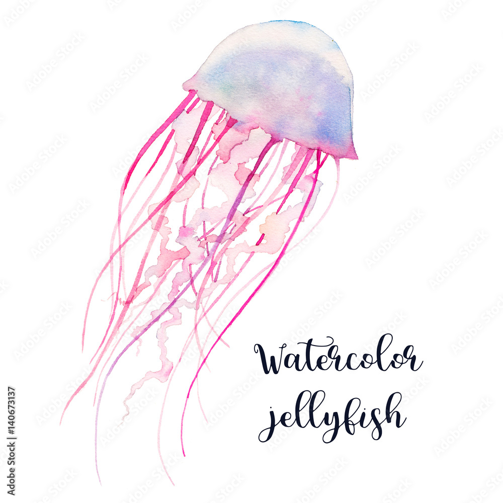 Fototapeta premium Watercolor jellyfish. Hand drawn animal illustration isolated on white background. Underwater natural art