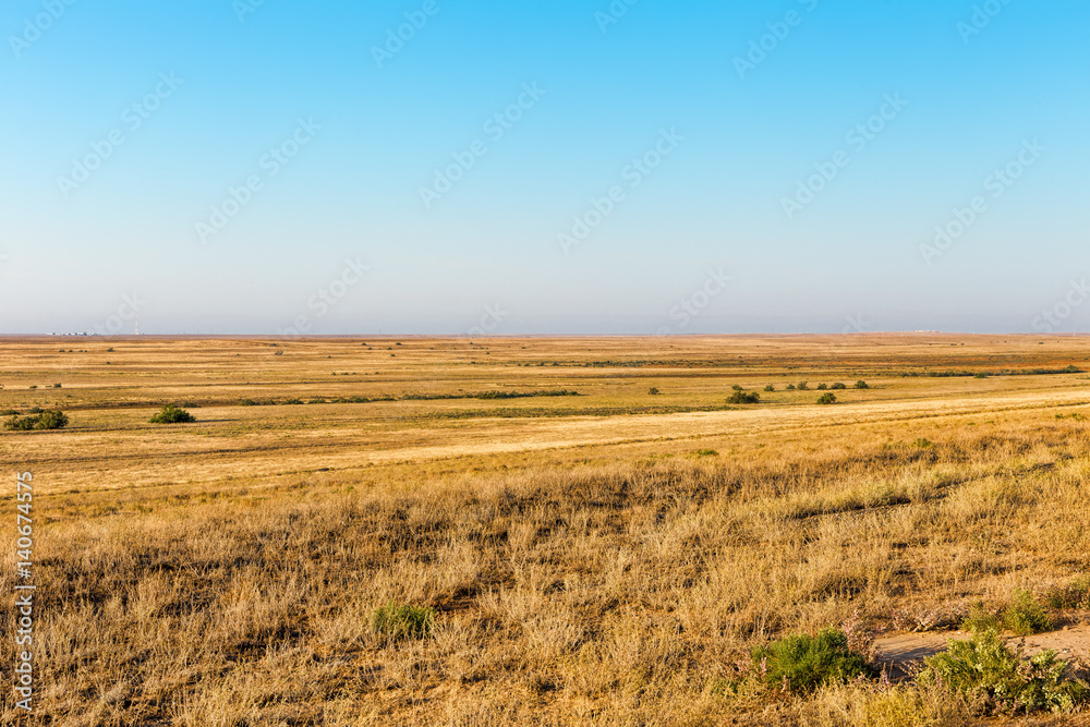 The road to the endless steppe. Scorched savannah