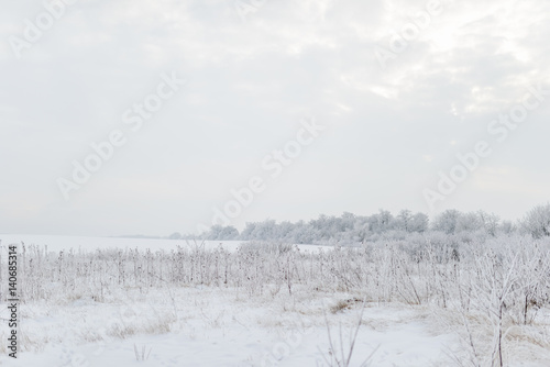 Wallpaper Mural fabulous winter forest Torontodigital.ca