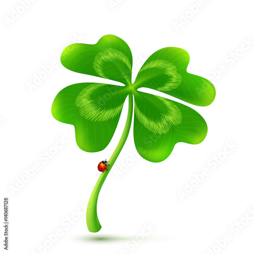 Vector four-leaf clover isolated on white background