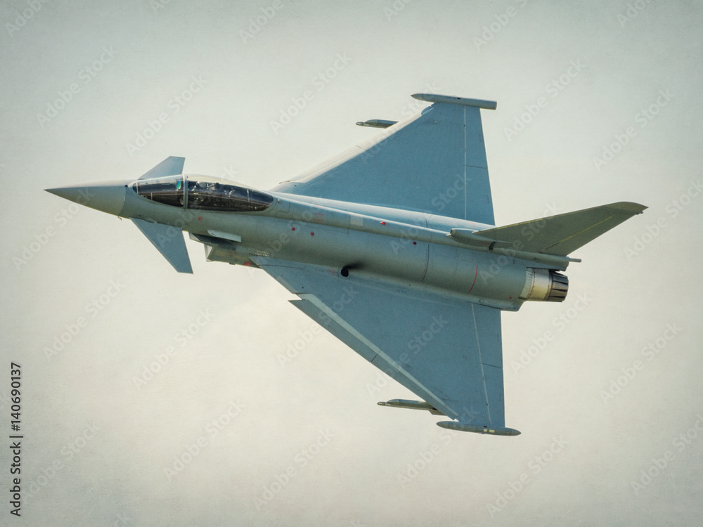 Fotografie Canard wing jet aircraft