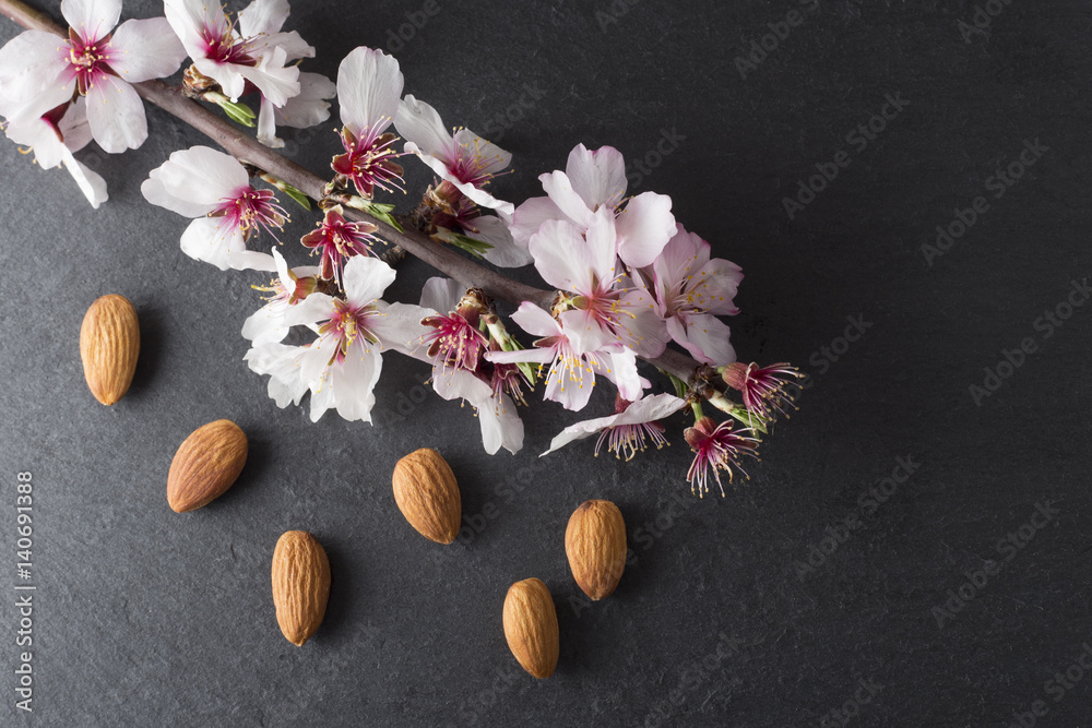 Almond blossoms and almonds, slate background Almond blossoms and almonds, slate background