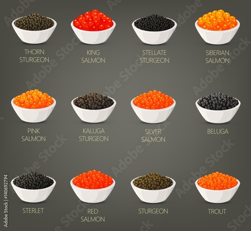 Set of isolated seafood, fish food, caviare