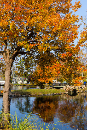 A colorful scene of a park with a tress and a pond in autumn. Heckscher Park, Huntington, NY. © jmstarr