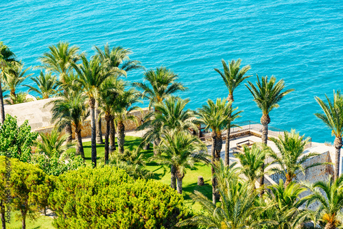 Wallpaper Mural Aerial View Of Green Palm Trees And Blue Ocean Landscape Torontodigital.ca