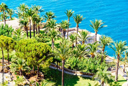 Aerial View Of Green Palm Trees And Blue Ocean Landscape