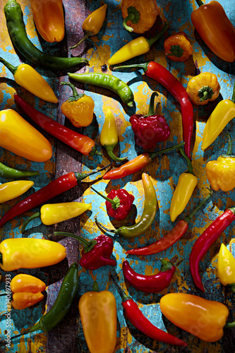 Green  red  yellow and orange peppers on blue background