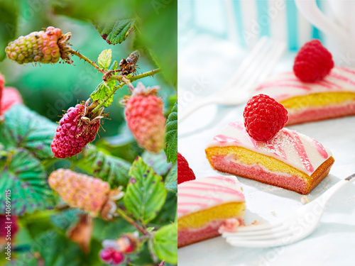 Raspberry bush and cake slices diptych