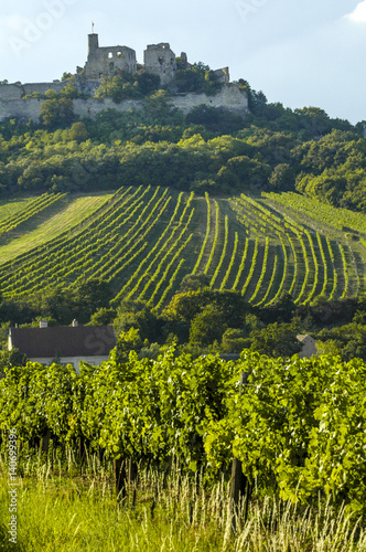 Weinregion Falkenstein im Weinviertel    sterreich  Nieder  ster