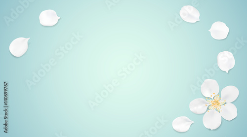Blurred pastel background with flower petals.