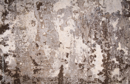 White Grey Wall Grunge Cement Texture Background © Oleksii