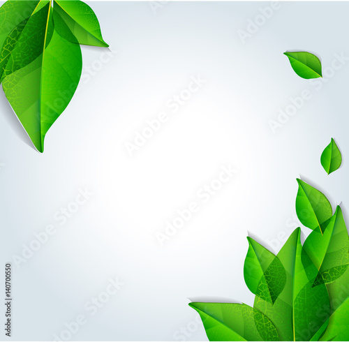 Green leaves vector on background.Vector illustration.EPS10.