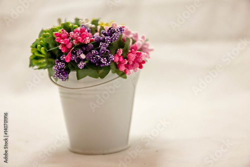 Colorful flowers in white bucket