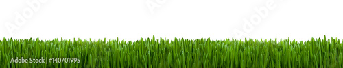 Gras Textur als Hintergrund Panorama
