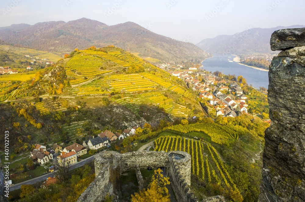 Obraz premium Wachau, herbstlicher Weingarten, Tausendeimerberg, Burgruine Hin