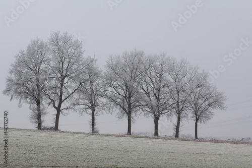 Wallpaper Mural Winter landscape in Bavaria Torontodigital.ca