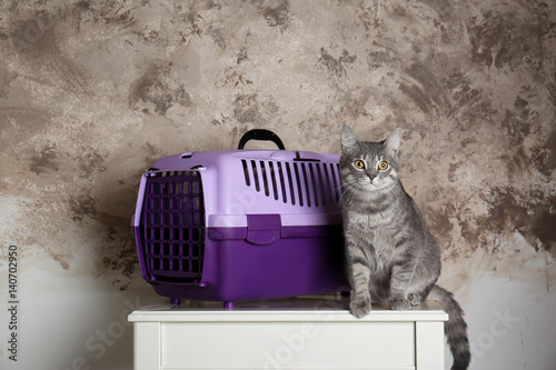 Fototapeta Naklejka Na Ścianę i Meble -  Cat and carrier box on table at home