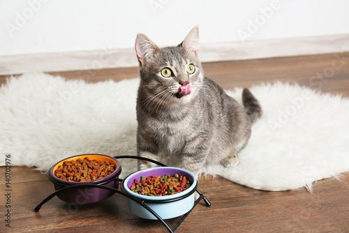 Fototapeta Naklejka Na Ścianę i Meble -  Cute cat eating on floor at home