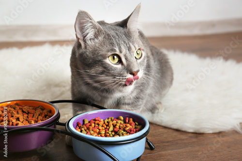 Fototapeta Naklejka Na Ścianę i Meble -  Cute cat eating on floor at home