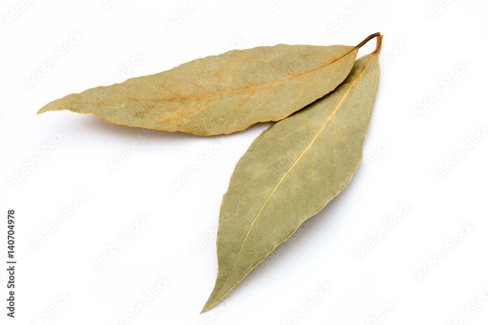 Aromatic bay leaves on white background. Aromatic bay leaves on white background.