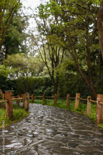 Wet cobblestone path in a garden.