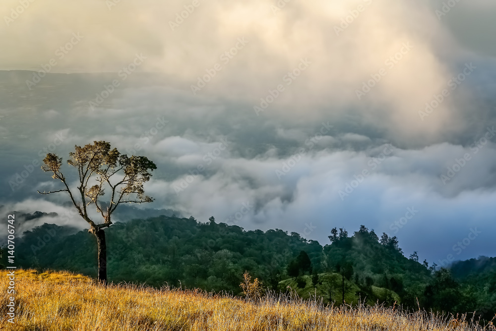 Fototapeta premium View From Gunung Rinjani