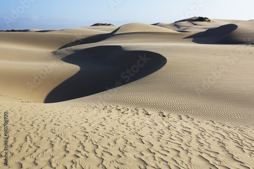 Fototapeta Naklejka Na Ścianę i Meble -  Oceano Dunes Natural Preserve, California