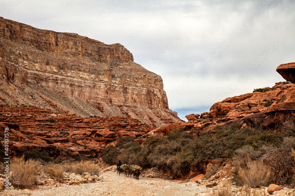 Fototapeta premium Havasupi Trail, Supai, Arizona. This image shows part of the 8 mile ascent from the Havasupai Reservation to the top of Havasupai canyon.