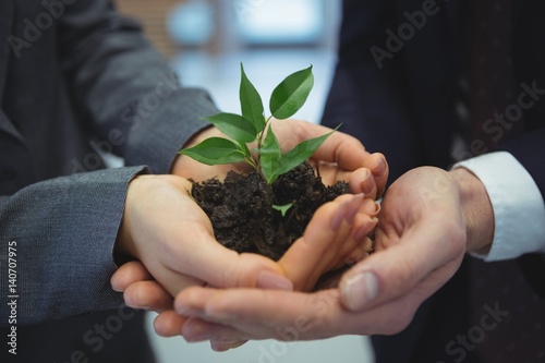 Fotografi Businesspeople hand holding plant together in corridor